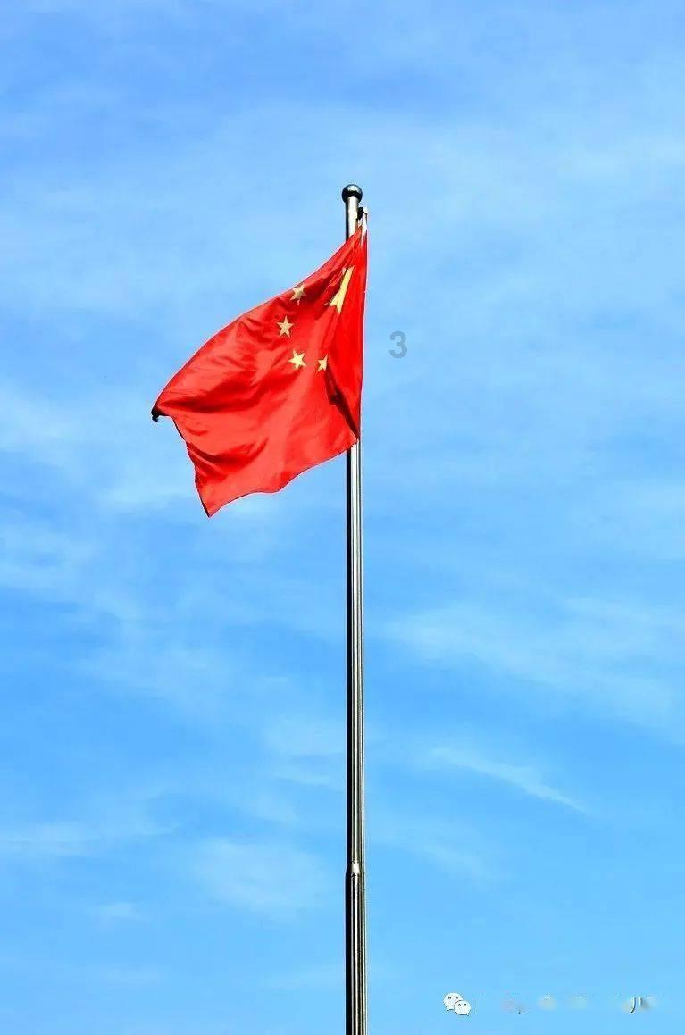 小猫钓鱼游戏龙王版有船