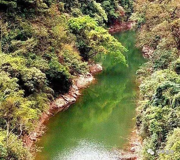 植物大战僵尸反击篇